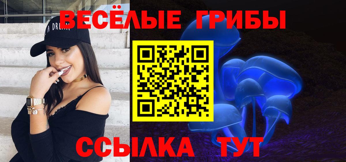 Нижний Тагил  Галлюциногенные грибы прущие грибы  где купить наркотик  Вход с VPN 